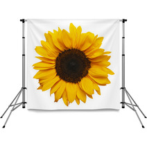 Sun Flower Backdrops 58328045
