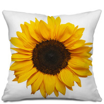 Sun Flower Pillows 58328045