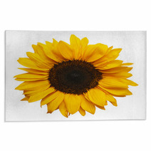Sun Flower Rugs 58328045
