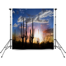 Sun Set And Saguaro Cactus In Saguaro National Park Backdrops 34476609