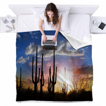 Sun Set And Saguaro Cactus In Saguaro National Park Blankets 34476609