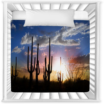 Sun Set And Saguaro Cactus In Saguaro National Park Nursery Decor 34476609