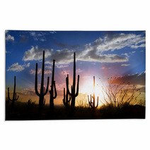 Sun Set And Saguaro Cactus In Saguaro National Park Rugs 34476609