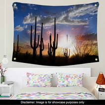Sun Set And Saguaro Cactus In Saguaro National Park Wall Art 34476609