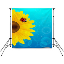 Sunflower And Ladybird On Blue Background. Backdrops 52973650