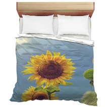 Sunflower Bedding 66008256