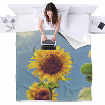 Sunflower Blankets 66008256