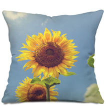 Sunflower Pillows 66008256