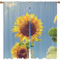 Sunflower Window Curtains 66008256