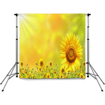 Sunflowers Backdrops 55052352