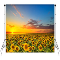 Sunflowers Backdrops 56916430