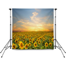 Sunflowers Backdrops 57913295