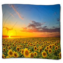 Sunflowers Blankets 56916430