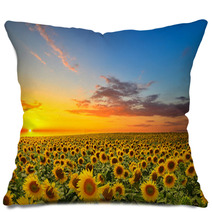 Sunflowers Pillows 56916430