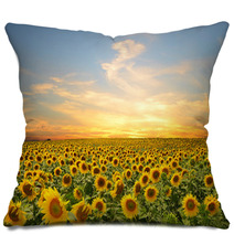 Sunflowers Pillows 57913295