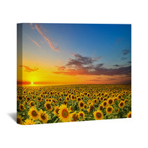 Sunflowers Wall Art 56916430