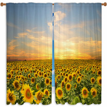 Sunflowers Window Curtains 57913295