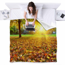 Sunny Autumn Foliage Blankets 55256728