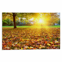 Sunny Autumn Foliage Rugs 55256728