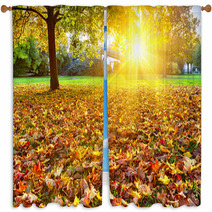 Sunny Autumn Foliage Window Curtains 55256728