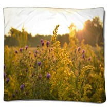 Sunrise Over Beautiful Country Field And Roadside Flowers Blankets 122797647