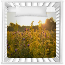 Sunrise Over Beautiful Country Field And Roadside Flowers Nursery Decor 122797647