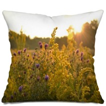 Sunrise Over Beautiful Country Field And Roadside Flowers Pillows 122797647