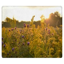 Sunrise Over Beautiful Country Field And Roadside Flowers Rugs 122797647