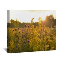 Sunrise Over Beautiful Country Field And Roadside Flowers Wall Art 122797647