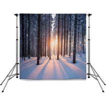 Sunset In The Wood In Winter Period Backdrops 64819783