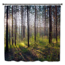 Sunset In The Woods Bath Decor 62602198