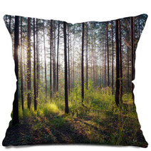Sunset In The Woods Pillows 62602198