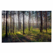 Sunset In The Woods Rugs 62602198