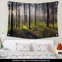Sunset In The Woods Wall Art 62602198