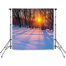 Sunset In Winter Forest Backdrops 72918367