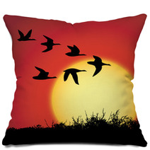 Sunset Pillows 1033242