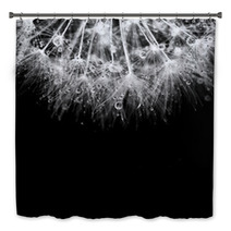 Super Macro White Dandelion With Droplets On Black Background Bath Decor 67815967