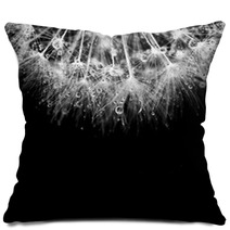 Super Macro White Dandelion With Droplets On Black Background Pillows 67815967