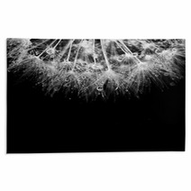 Super Macro White Dandelion With Droplets On Black Background Rugs 67815967