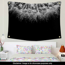 Super Macro White Dandelion With Droplets On Black Background Wall Art 67815967