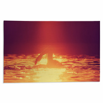 Swimming In Sunset/sunrise Rugs 72919084