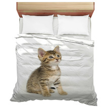 Tabby Kitten Sitting Bedding 3806457