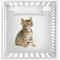 Tabby Kitten Sitting Nursery Decor 3806457
