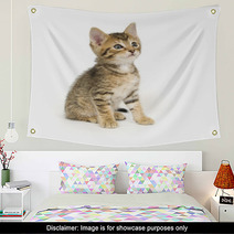 Tabby Kitten Sitting Wall Art 3806457