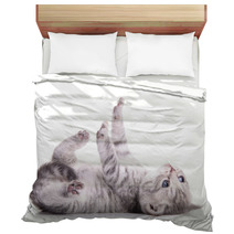 Tabby Scottish Kitten Bedding 61098445