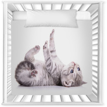 Tabby Scottish Kitten Nursery Decor 61098445