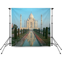 Taj Mahal Backdrops 2500170