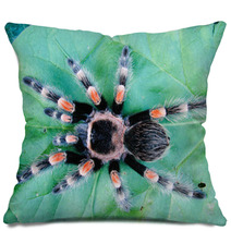 Tarantula On Leaf Pillows 67651980