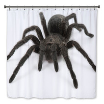 Tarantula Spider- Grammostola Pulchra Bath Decor 63229508