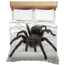 Tarantula Spider- Grammostola Pulchra Bedding 63229508